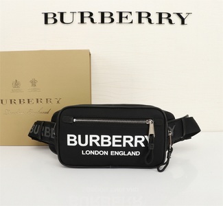 Burberry Handbags 261